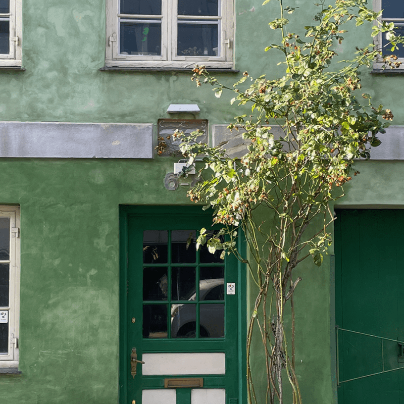 rengøring