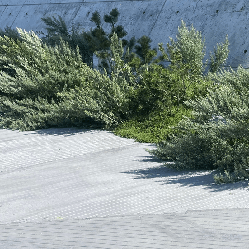 biodiversitet